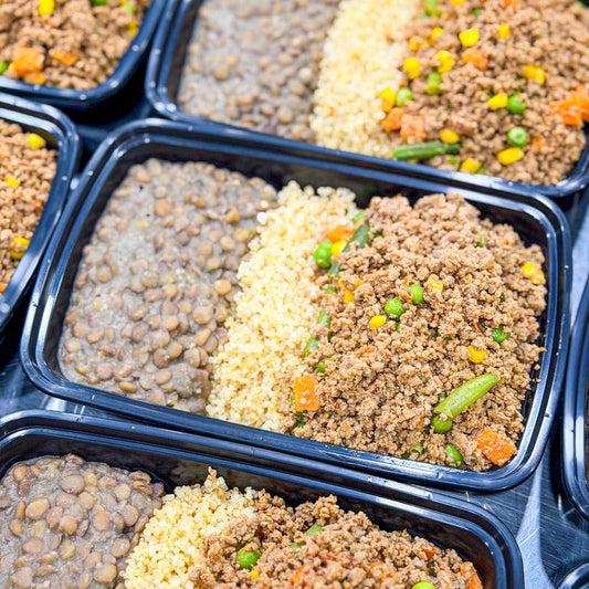 PRONTA ENTREGA, MENU SAUDÁVEL, MARMITA CONGELADA- Carne moída com vegetais, quinoa e lentilha