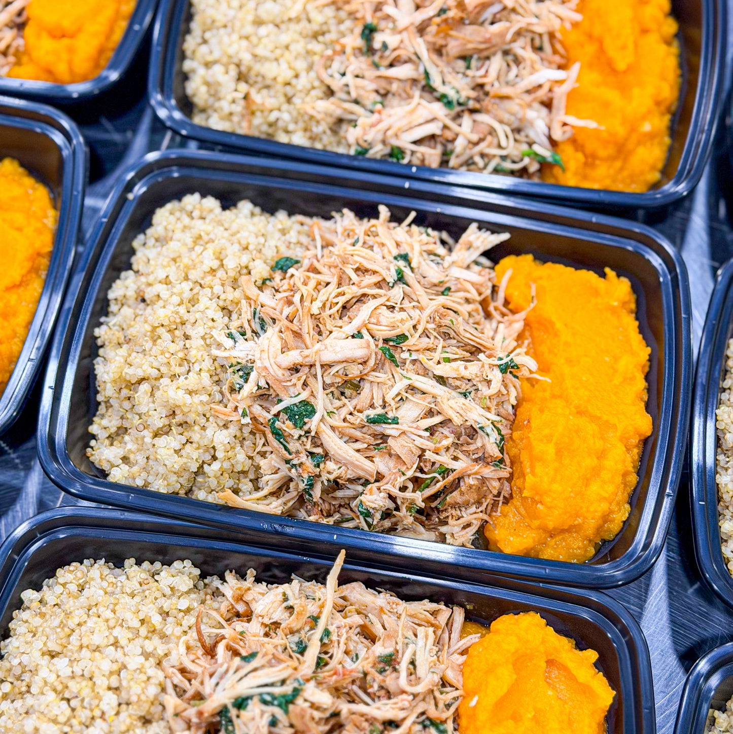 SAUDÁVEL REGULAR- Frango desfiado turbinado com espinafre, quinoa e purê de abóbora.